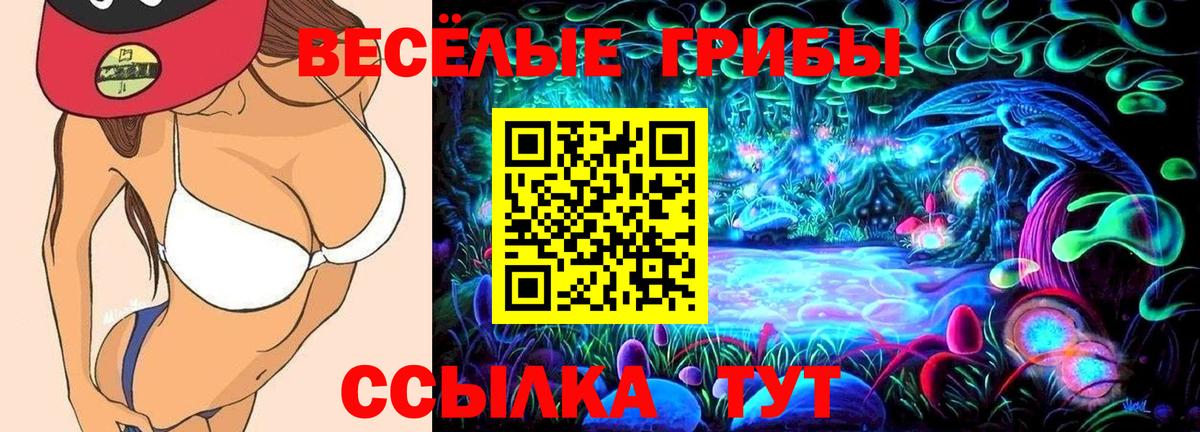 Псилоцибиновые грибы GOLDEN TEACHER  Вход с VPN  сколько стоит  Татарск 